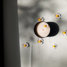 Load image into Gallery viewer, s o l s t i c e •