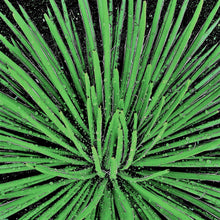 Load image into Gallery viewer, l a • p r i m a v e r a