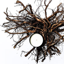 Charger l'image dans la galerie, l o s t • f o r e s t