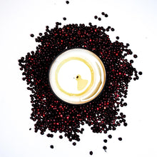 Load image into Gallery viewer, h i b e r n a t e •