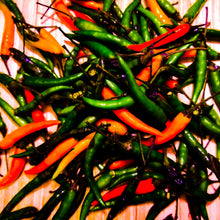 Load image into Gallery viewer, h o t • m o o n