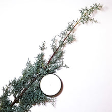 Load image into Gallery viewer, s n o w • m o o n